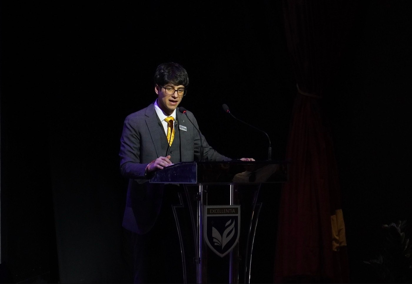 A speaker addressing the conference from the podium